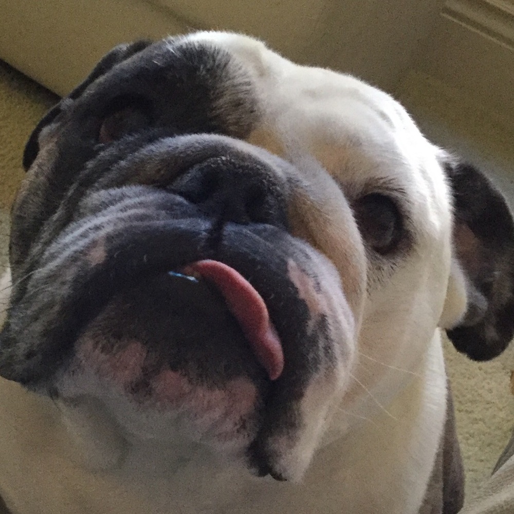 Meet your Posher, Michelle