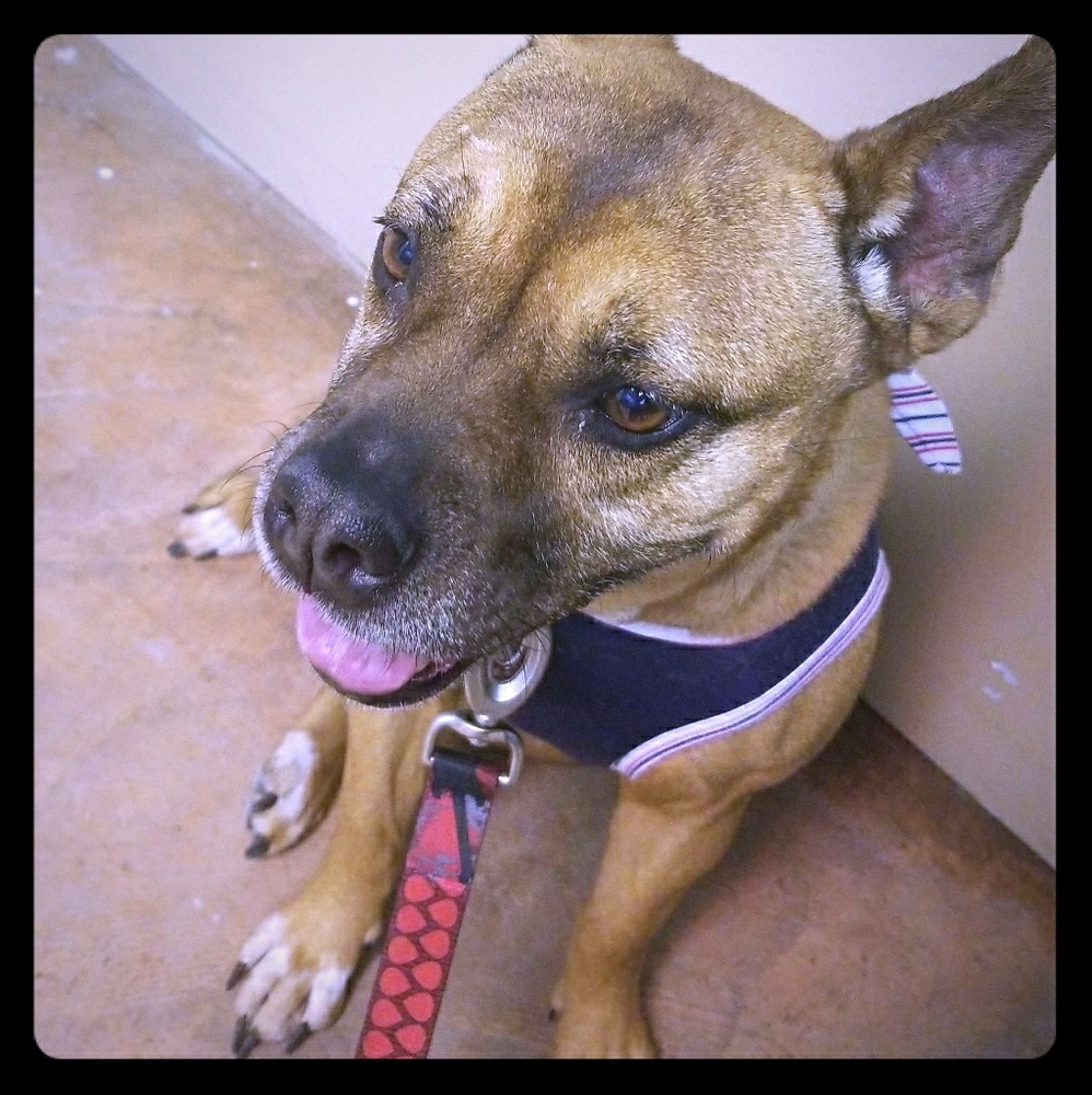 Meet your Posher, Maria