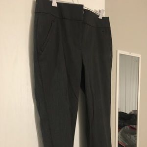 Loft dress pants