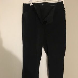 Loft boot cut dress pants