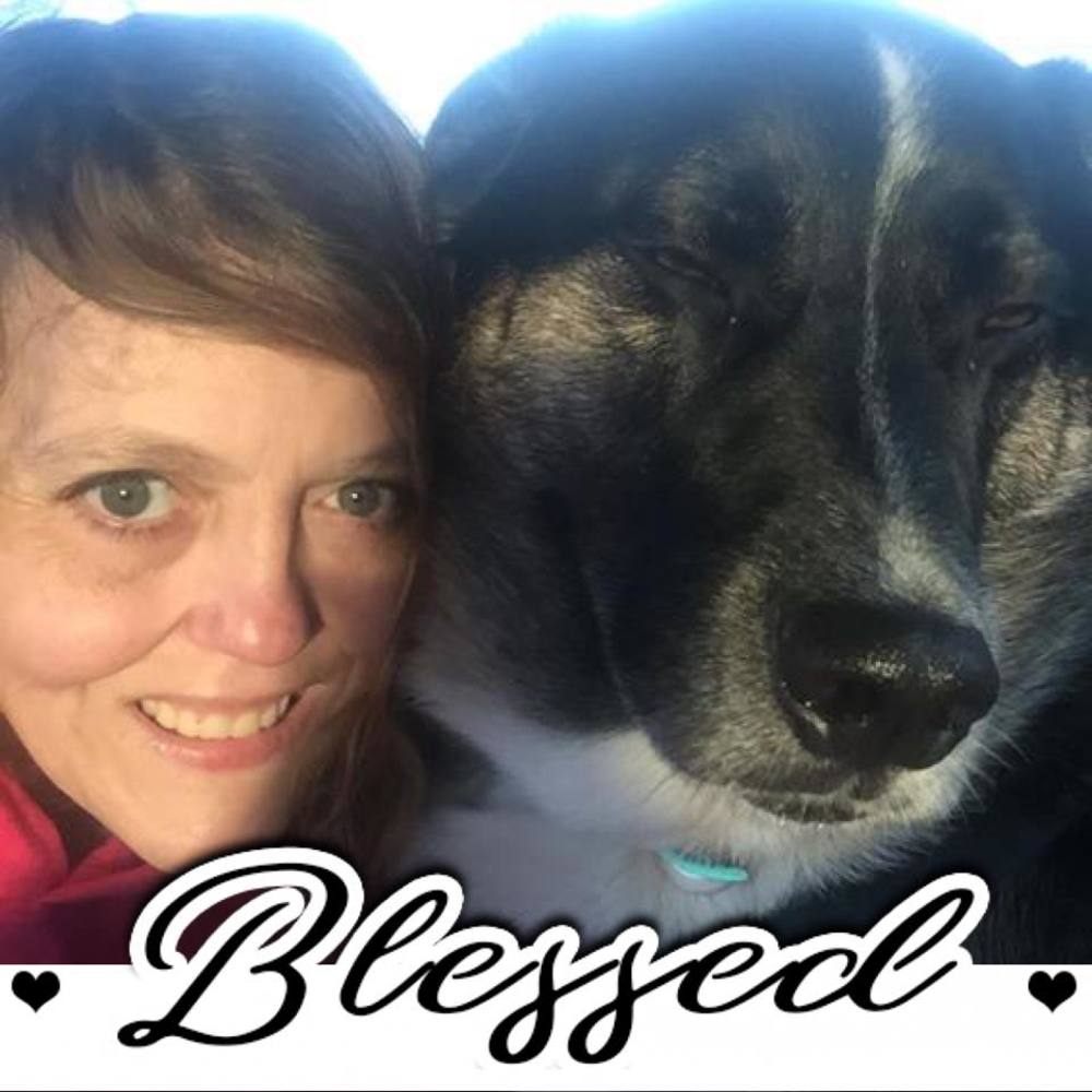 Meet your Posher, Alison