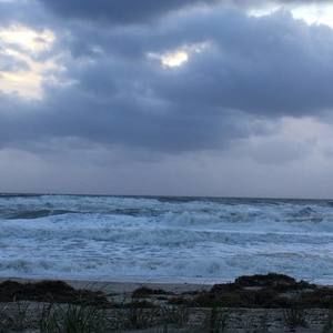 Meet your Posher, Diego