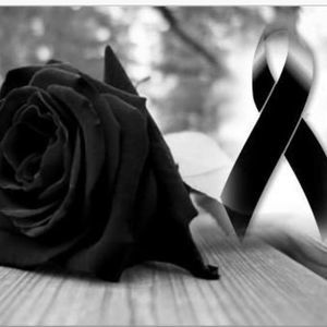 Meet your Posher, Tainá