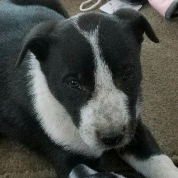 Meet your Posher, Geri - Picture 1 of 1