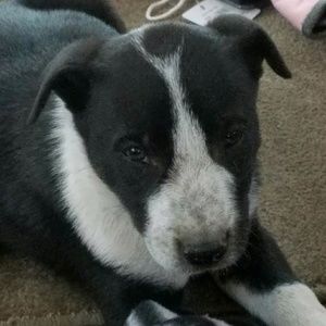 Meet your Posher, Geri