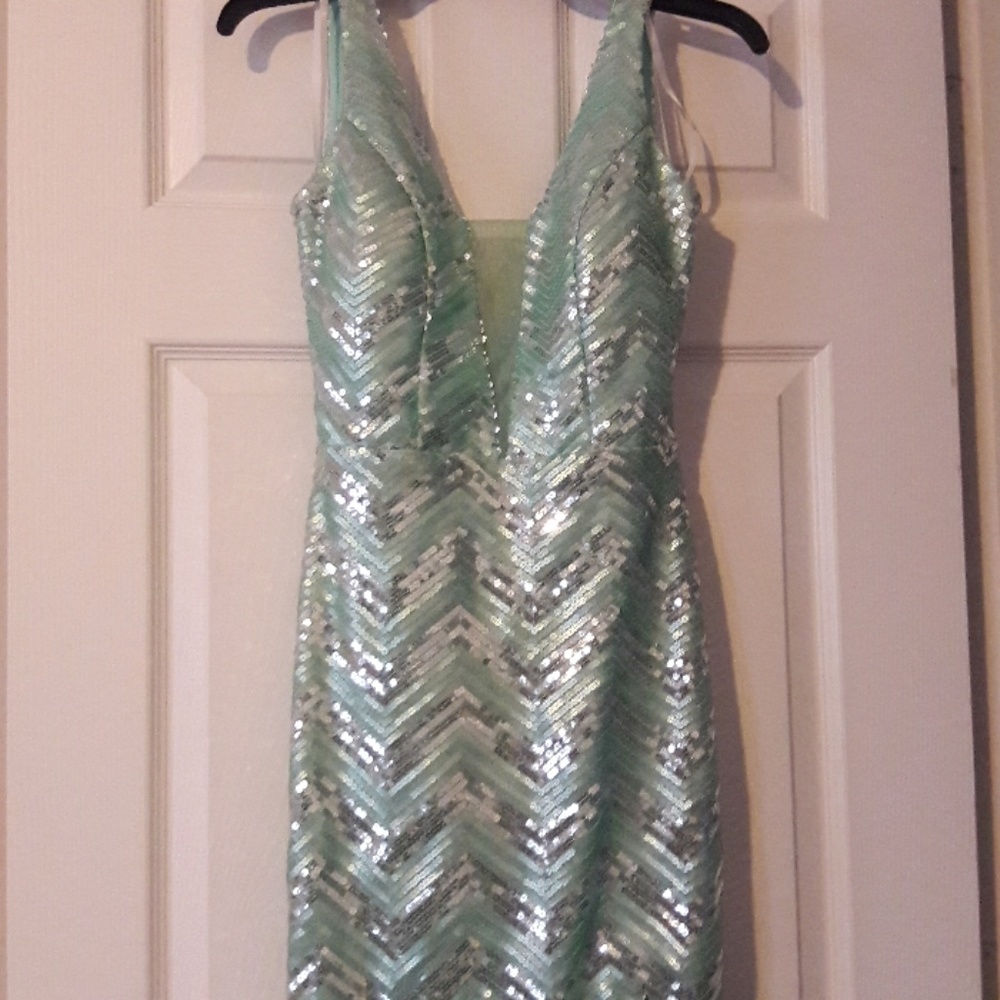 Homecoming/Prom Dress