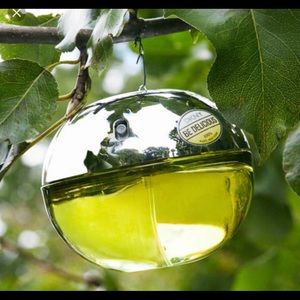 🍏DKNY Be Delicious perfume 🍏