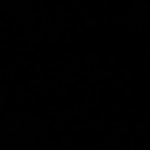 Meet your Posher, Mason