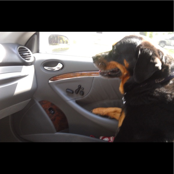 Meet your Posher, Jan - Picture 1 of 1