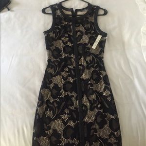 Tart Dresses - Tart dress Tart Dresses - Tart dress