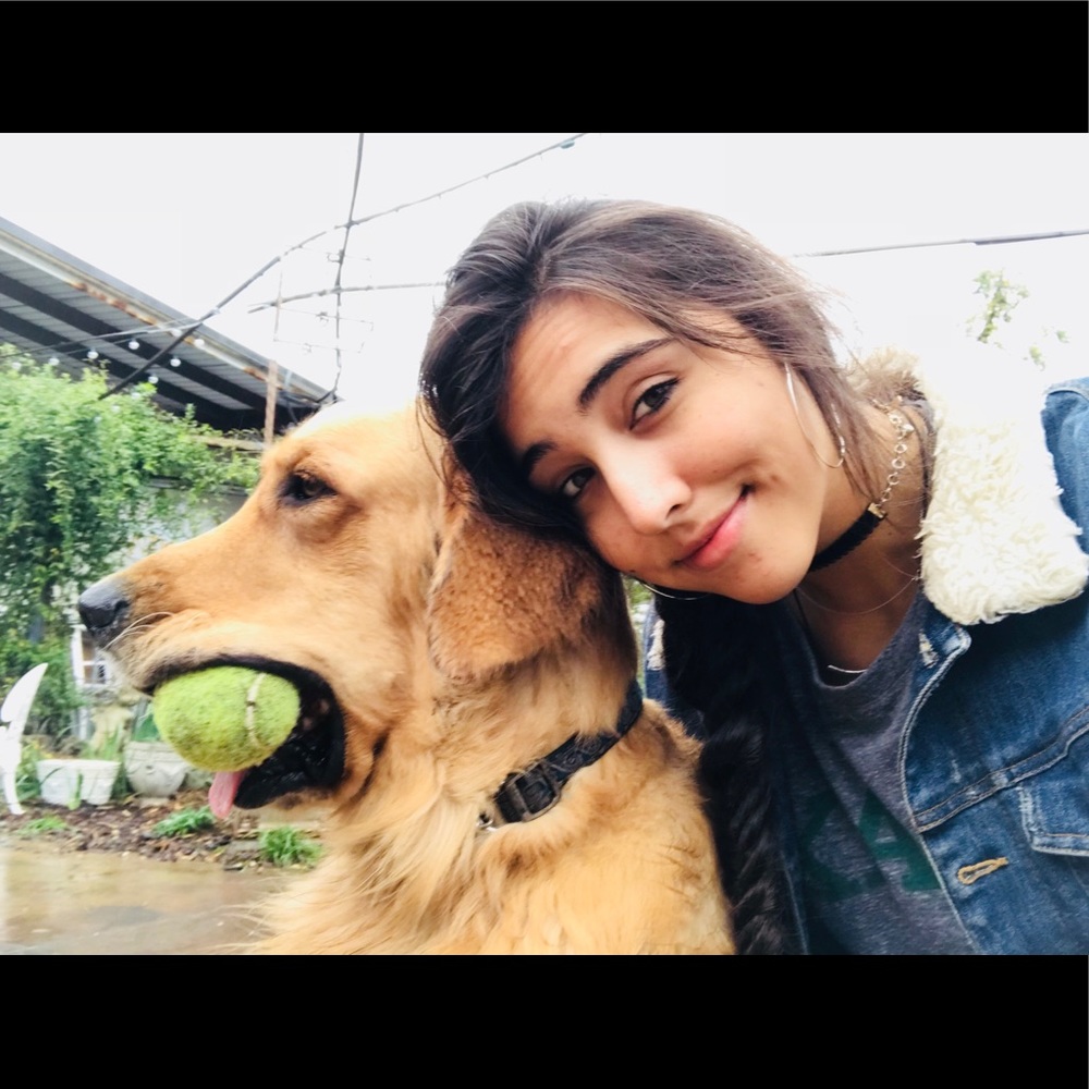 Meet your Posher, Rachel