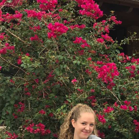 Meet your Posher, Sadie - Picture 1 of 1