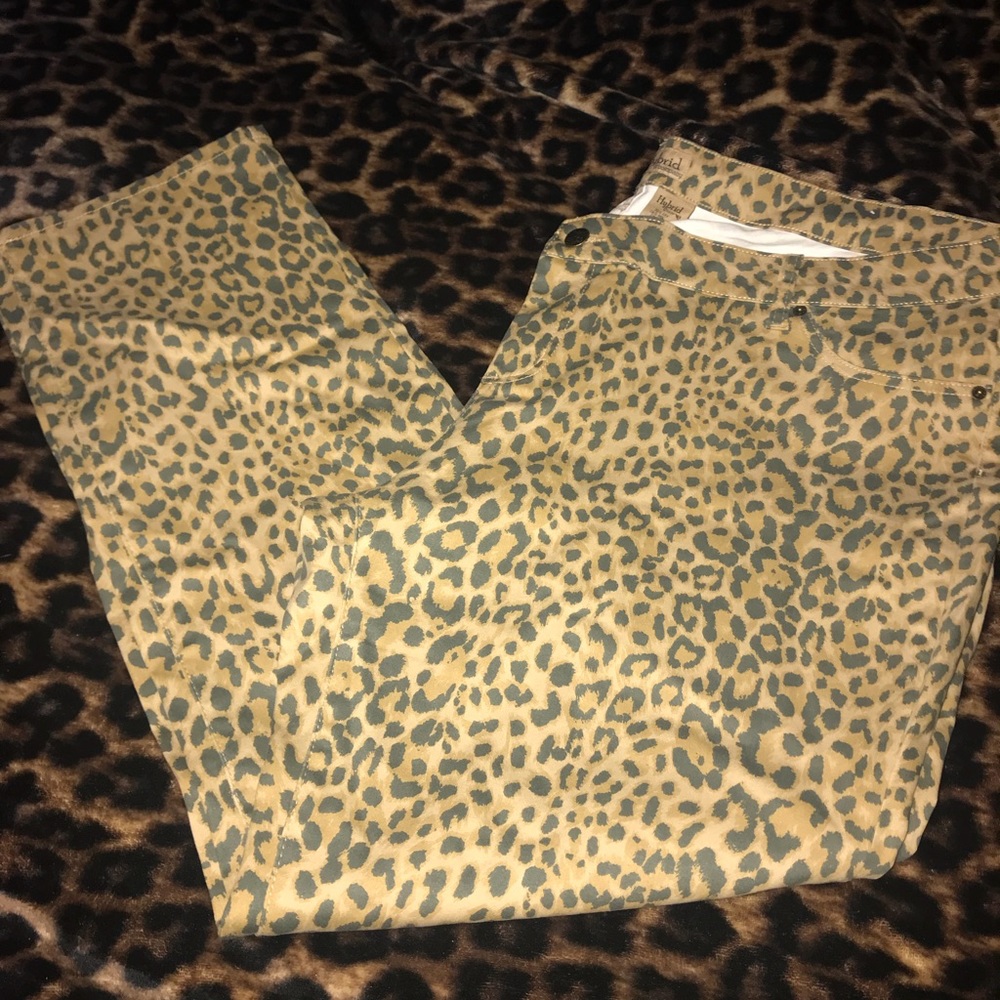 Leopard print pants woman’s plus 24
