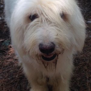 Meet your Posher, Stuart