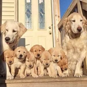 Meet your Posher, Timothy