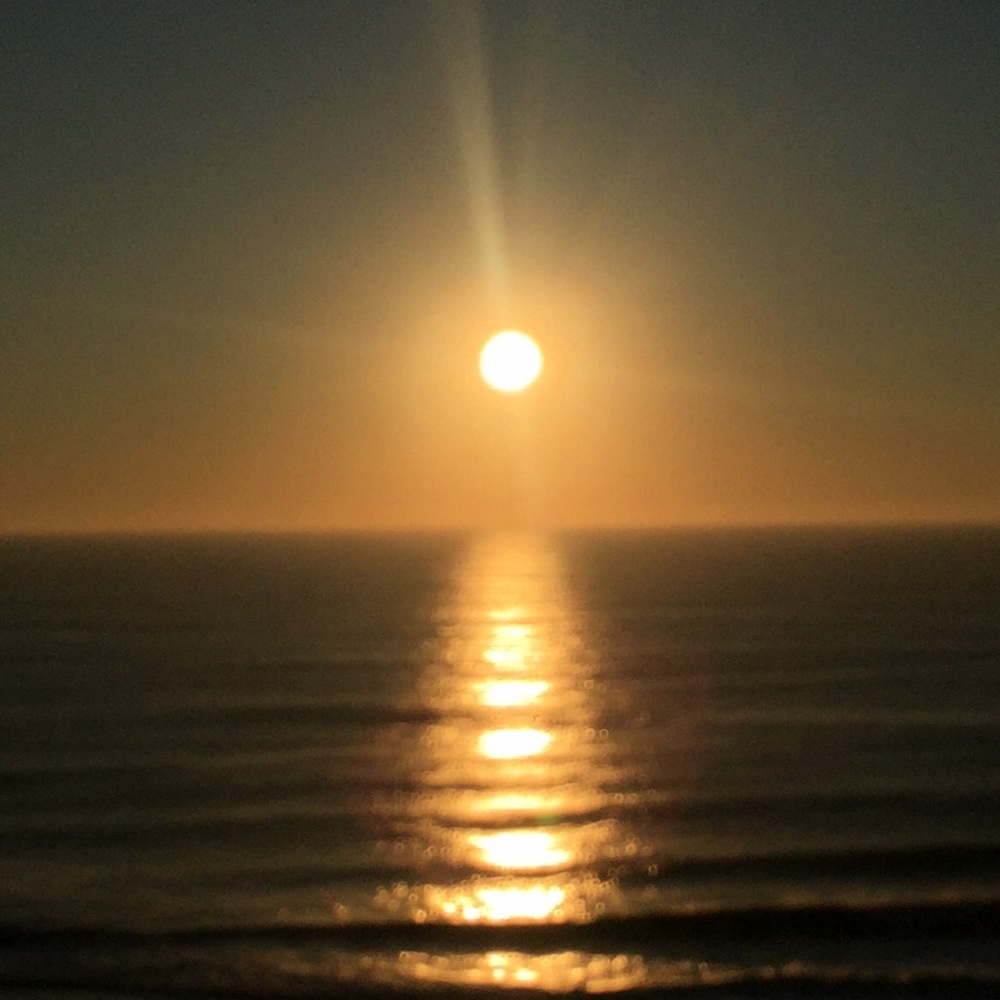 Meet your Posher, Jonelle