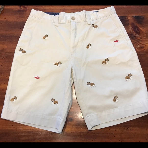 polo bulldog shorts