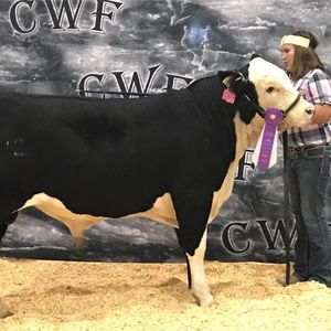 Meet your Posher, Bobbieandgeorge