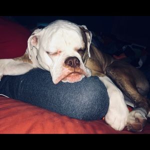 Meet your Posher, Tiffany