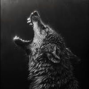 Meet your Posher, Hunter