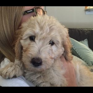 Meet your Posher, Rita