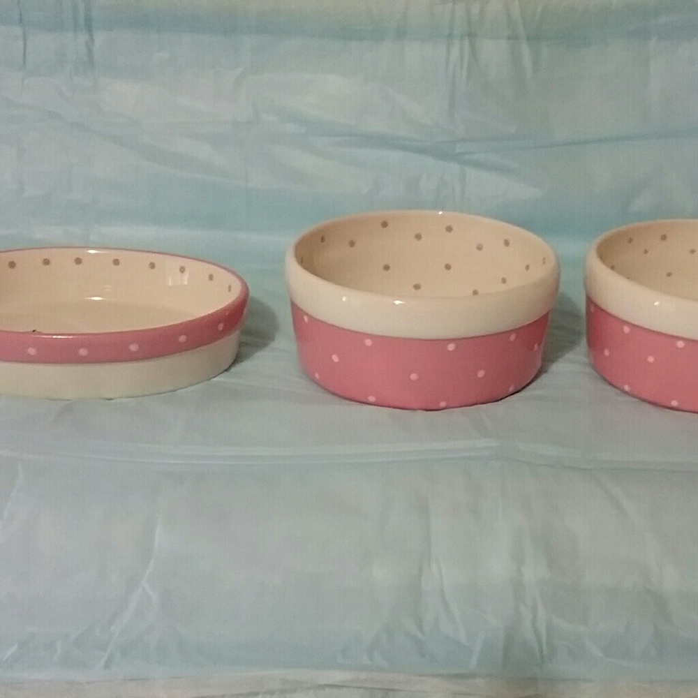 Princess Polka Dot Ceramic Food And Water Set