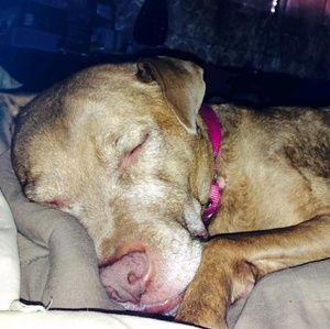 Meet your Posher, Loretta