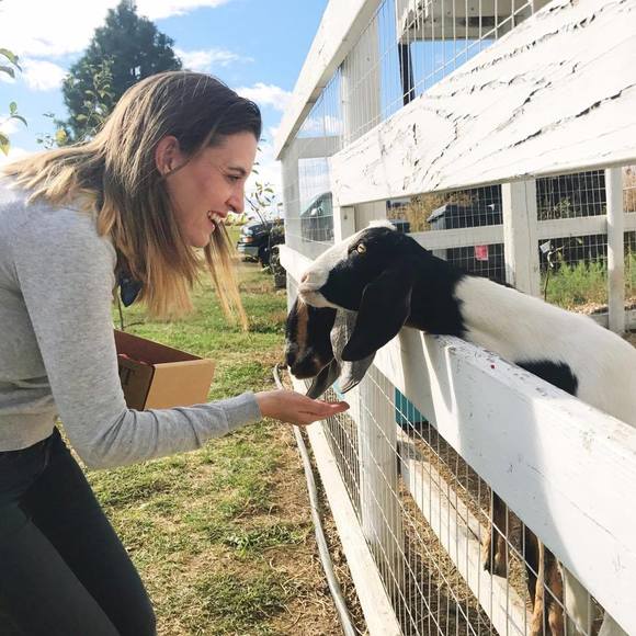 Meet your Posher, Brittan - Picture 1 of 1