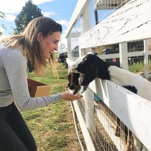 Meet your Posher, Brittan