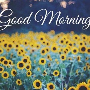 Meet your Posher, Tracie