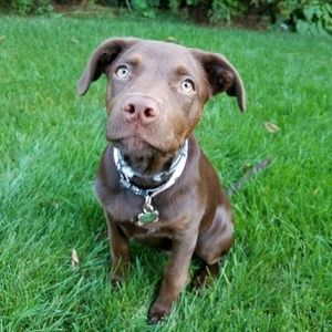 Meet your Posher, Amanda