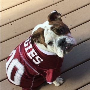 Meet your Posher, Carla