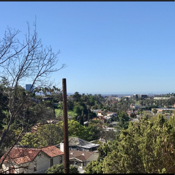 Meet your Posher, Rene - Picture 1 of 1