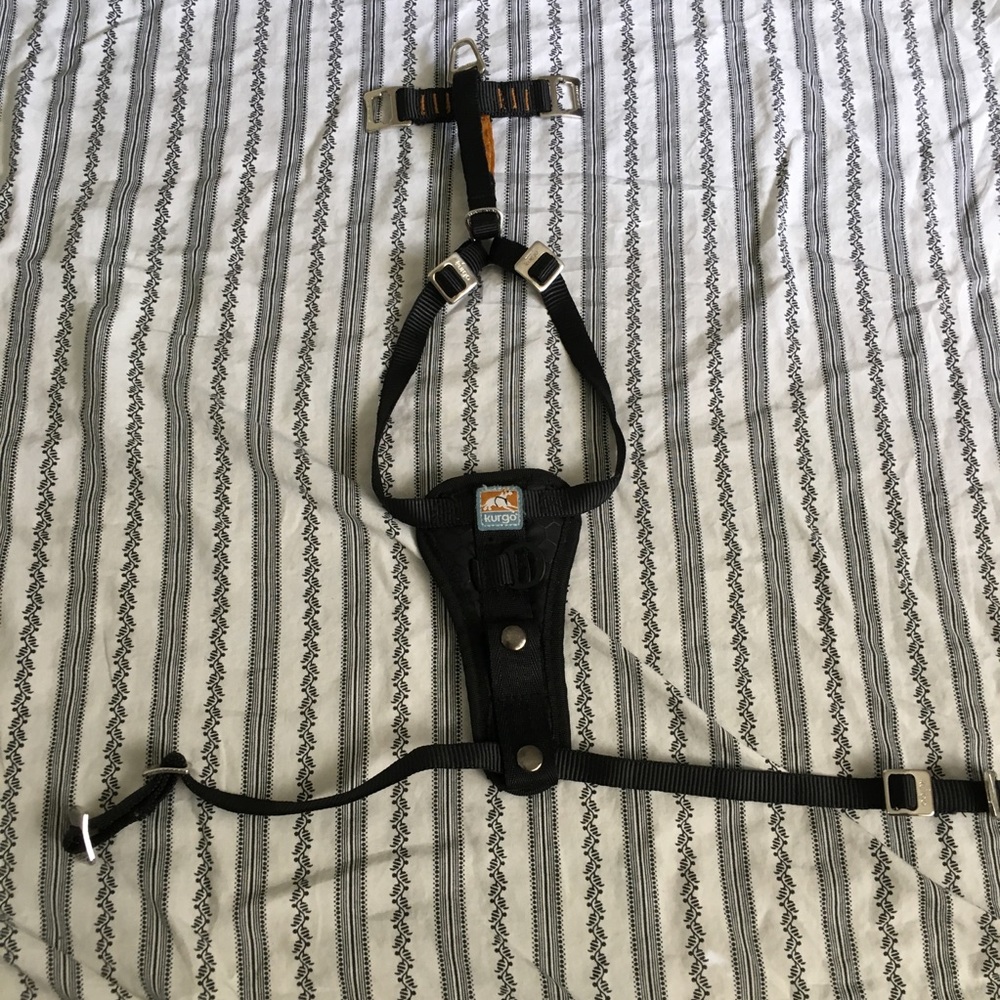 Small Kurgo dog harness