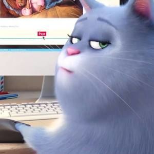 Meet your Posher, Shen