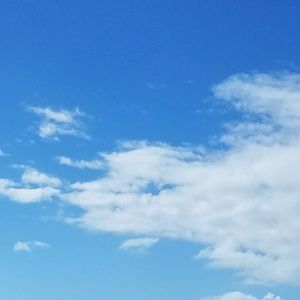 Meet your Posher, Nelly