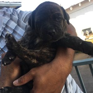 Meet your Posher, Victoria