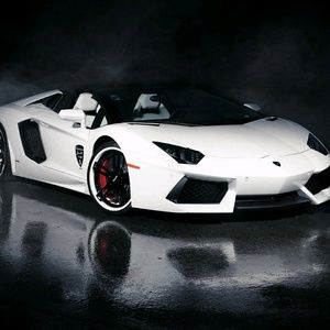 Meet your Posher, Ernesto