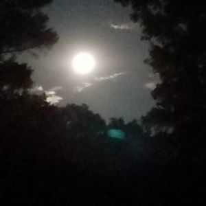 Meet your Posher, Bob