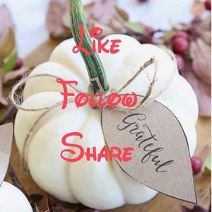 NEW Follow Game