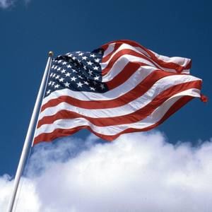 Meet your Posher, Darlene