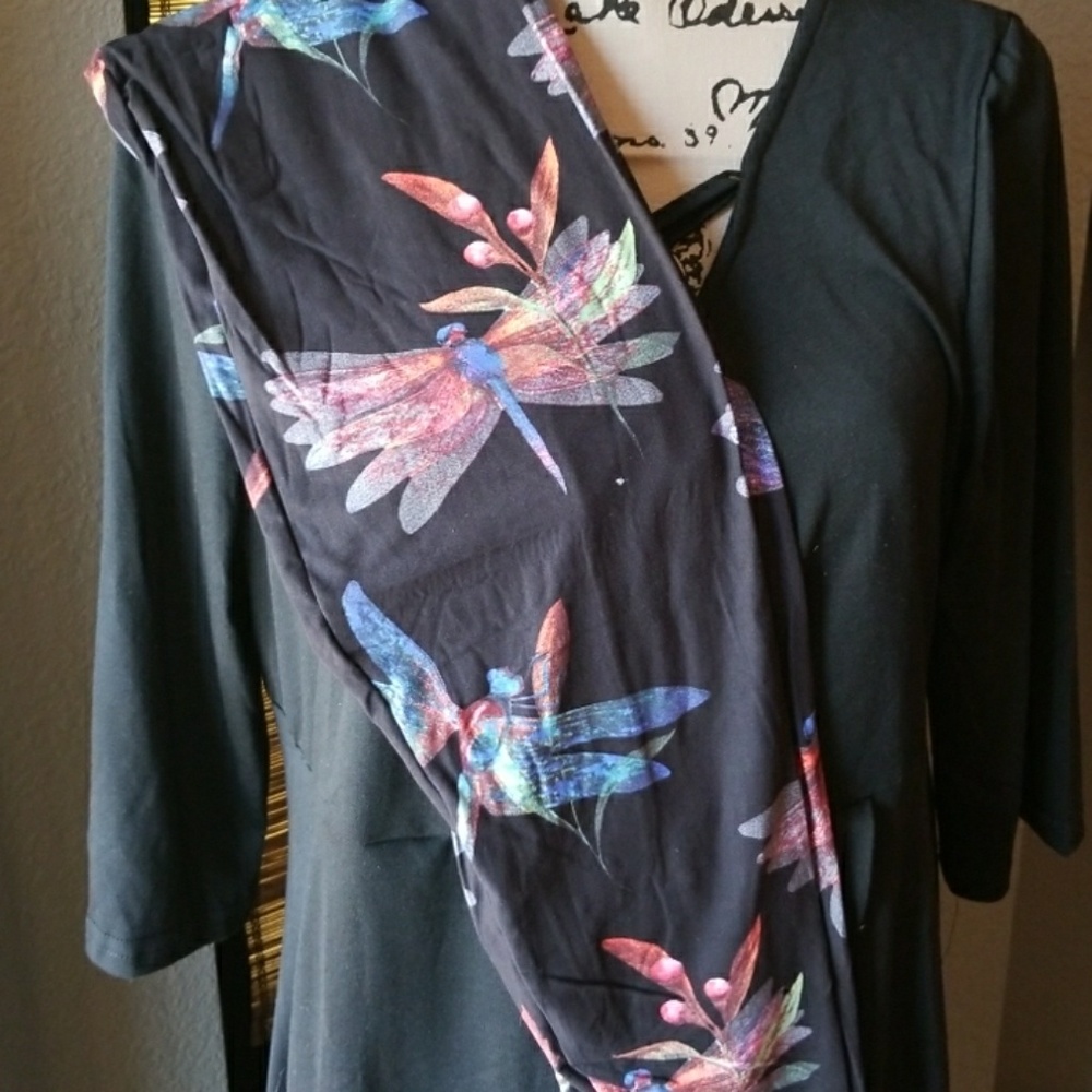 Dreamy dragonfly sizes 2-10