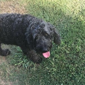 Meet your Posher, Maegan