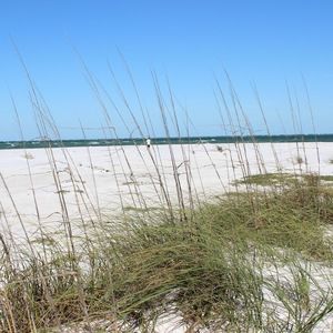 Meet your Posher, Carmen