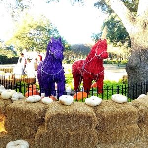 Meet your Posher, Sheena