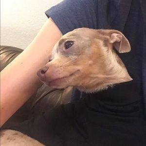 Meet your Posher, Anna