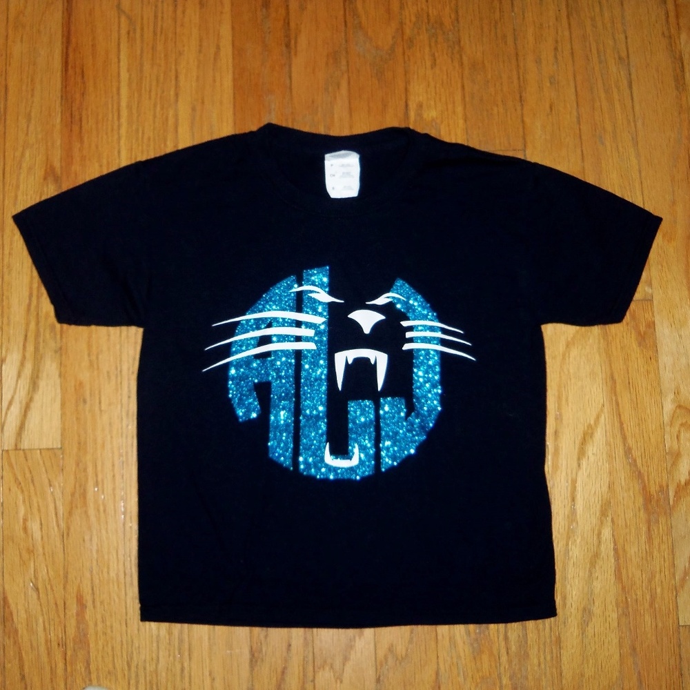 Carolina Panthers football black blue S