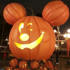 Meet your Posher, Celia