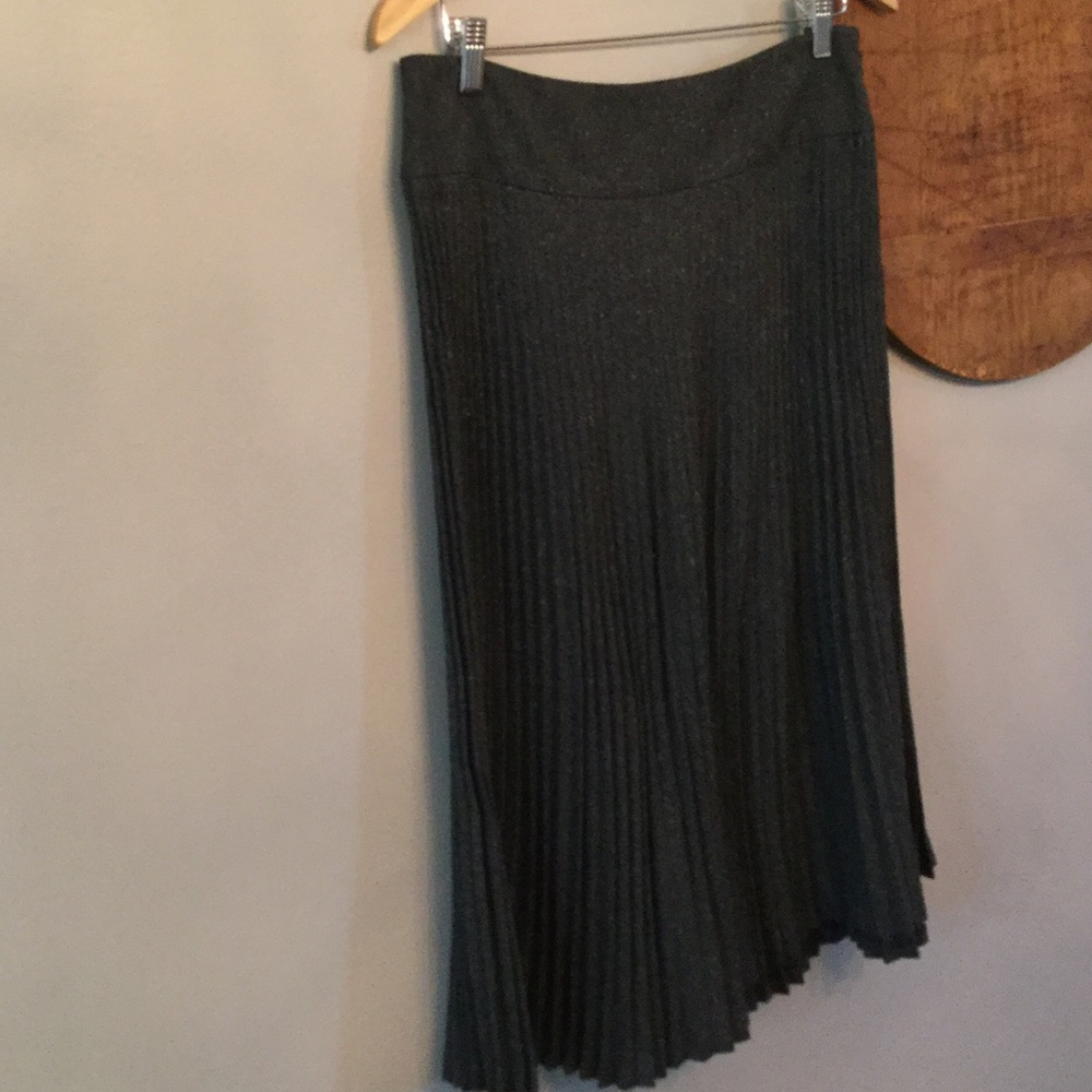 Express, pleated skirt
