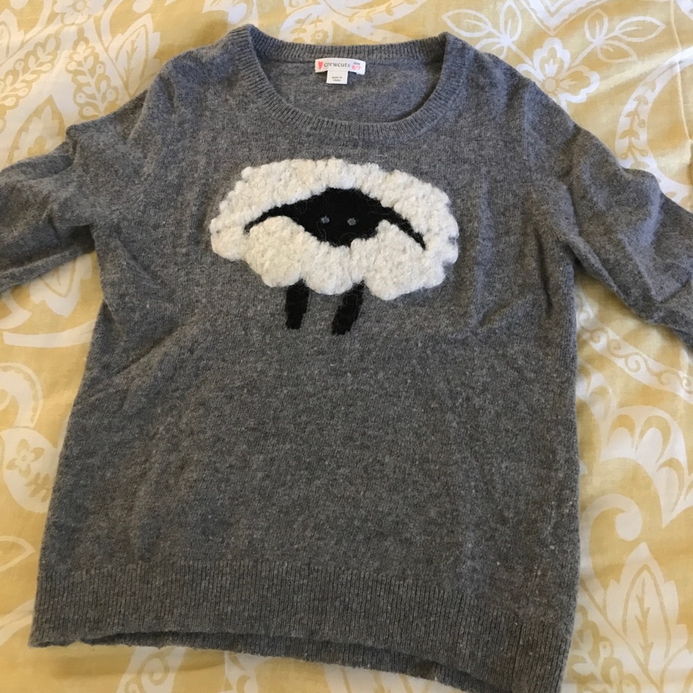 Crewcuts sweater